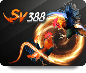 Discover Why SBOTOP Top Bet Stands Out in Online Sports Betting